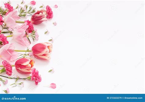 Beautiful Spring Flowers On White Background Stock Image Image Of