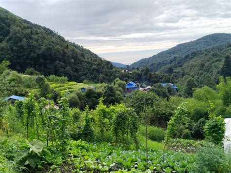 Pokhara Trek De Jours Ghorepani Et Poon Hill Himalayan Paradise