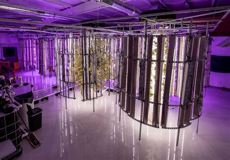 Future Grow Solutions Opens Cannabis Growing And Processing Facility To