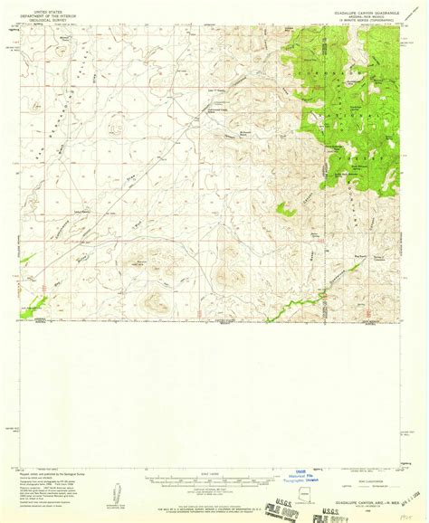 Guadalupe Canyon Arizona 1958 1959 USGS Old Topo Map Reprint 15x15