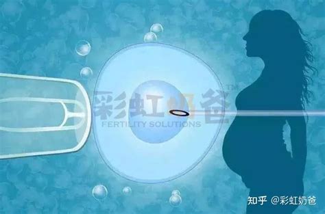 子宫内膜太薄？试管婴儿对子宫有哪些要求？｜彩虹奶爸 知乎