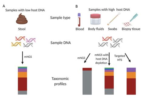 Schematic Illustration Of Untargeted Metagenomic Sequencing And