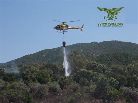 Sardegna Spenti 17 Incendi Due Ettari In Fiamme Nel Sulcis Casteddu