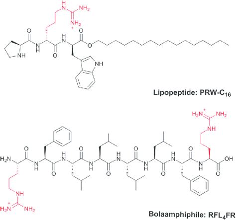 Chemical Structures Of Peptide Amphiphiles Used In This Work Arginine