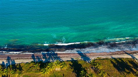 Beach Aerial Photography · Free Stock Photo