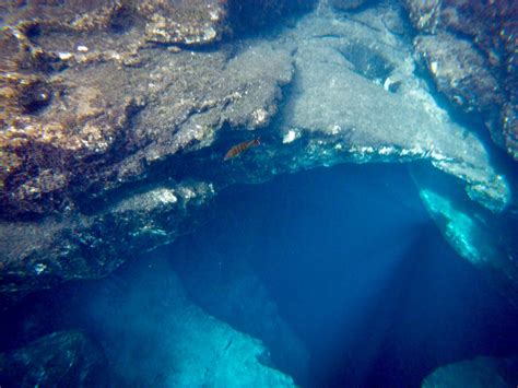 Eagles Nest Florida Cave Diving Two Cave Divers Killed In Eagle S