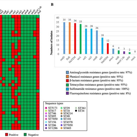 Antimicrobial Resistance Genes Carried By Mcr Positive E Coli