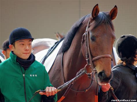 ワイズワン Wise Wanの血統表 競走馬データ Netkeiba