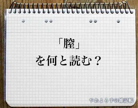 「膣」の読み方とは？間違いやすい読み方まで解釈 やおよろずの雑記帳