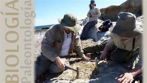 La Carrera De Paleontolog A En La Universidad