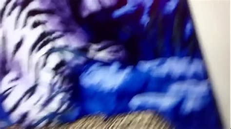 Lucha Videos Xvideos