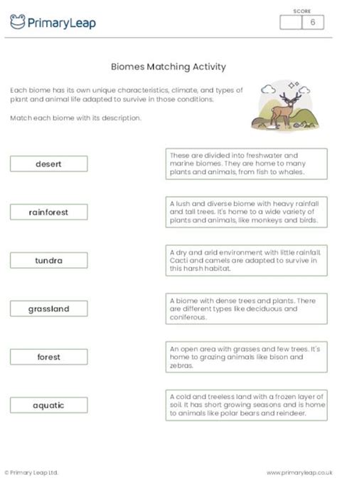 Biomes Worksheet Years 5 6 CGP Plus Worksheets Library