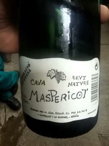 Mas Pericot Cava Brut Nature Vivino US