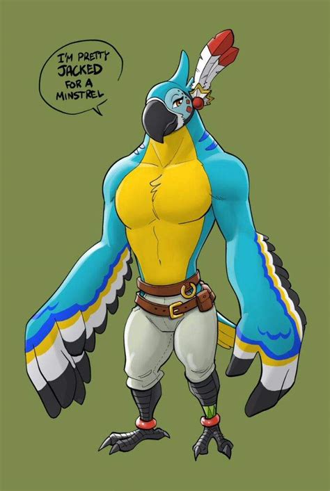 Kass The Lovable Rito Zelda Amino