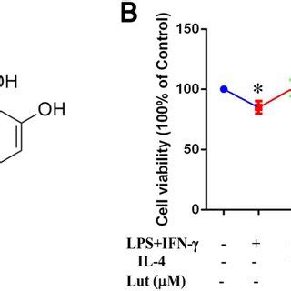 Effect of luteolin on the viability of LPS IFN γ primed BMDMs a