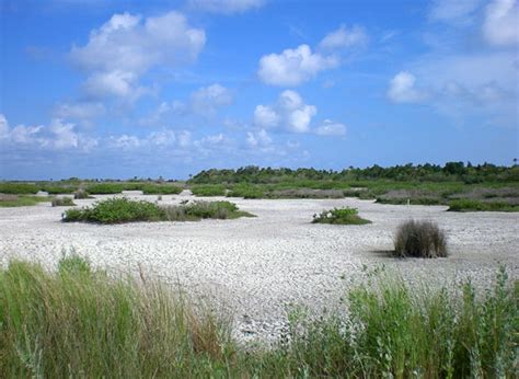 Merritt Island National Wildlife Refuge - Merritt Island FL | Merritt ...