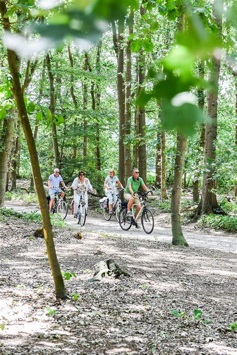 Fietsroute Sporen Op De Heuvelrug Op De Heuvelrug