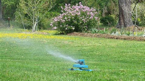 How To Revive Dead Grass Repair Your Dormant Lawn Today