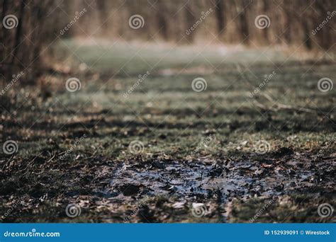 Closeup Of Muddy And Dirty Ground In A Field With An Out Of Focus