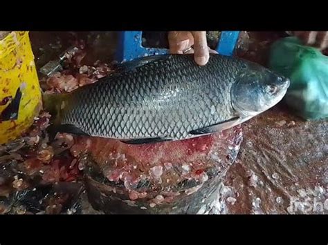 Sylhet Fish Amazing Cutting Skills Big Catla Fish Cleaning Cutting