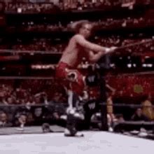 Shawn Michaels Sweet Chin Music GIF - Shawn Michaels Sweet Chin Music ...