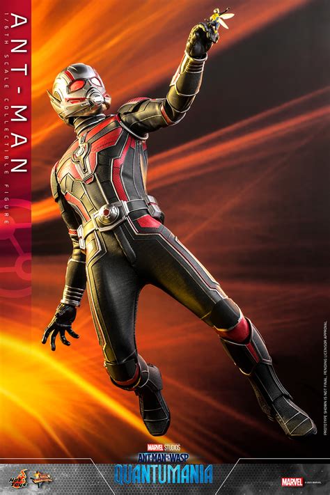 Ant Man Sixth Scale Figure By Hot Toys Sideshow Collectibles