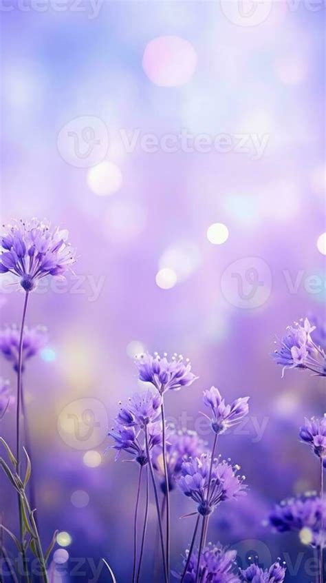 Lavender field background 26770566 Stock Photo at Vecteezy