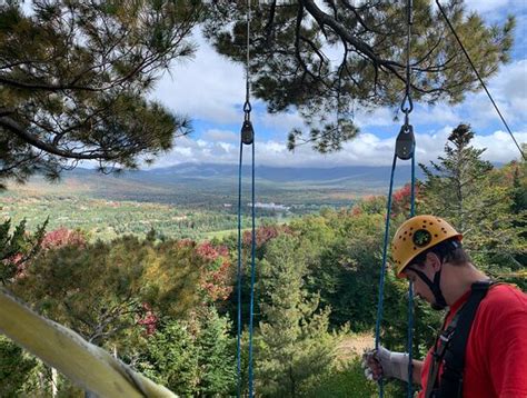 Bretton Woods Canopy Tour - All You Need to Know BEFORE You Go