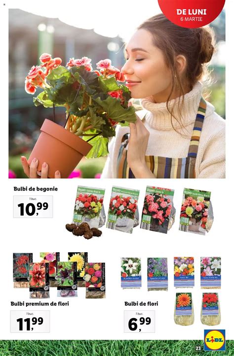 Oferte Februarie Aprilie Catalog Lidl Katalog