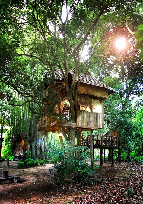 tree house thailand resort - Aimee Hinds