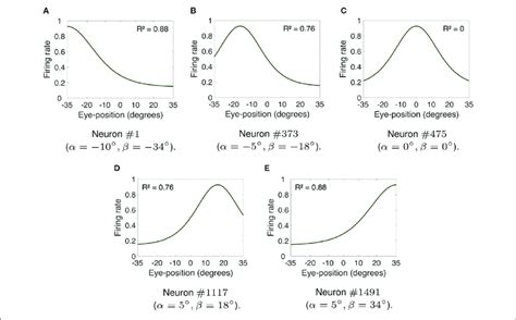 Firing Rate Responses Of Visual Neurons In The Hardwired Model A E