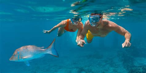 Snorkeling in Puerto Plata - Dominican Republic