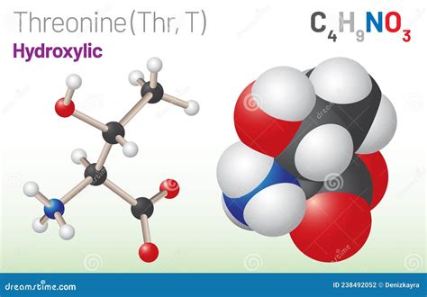 Threonine L Threonine Thr C4H9NO3 Essential Amino Acid Molecule