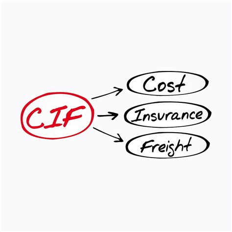 Guide De L Incoterm Cif