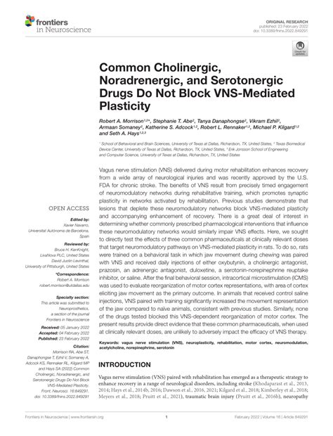 Pdf Common Cholinergic Noradrenergic And Serotonergic Drugs Do Not