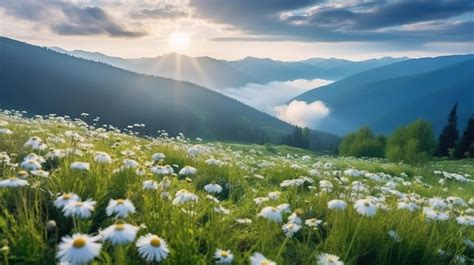 Premium Photo Colorful Summer View Of Fusine Lake Bright Morning