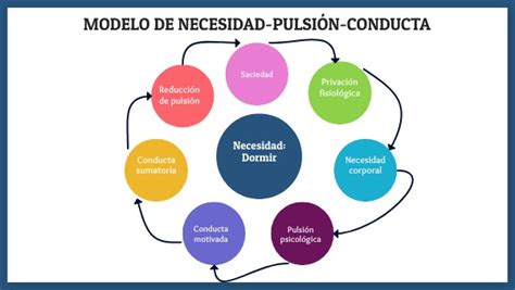 Diagrama Del Modelo De Necesidad Pulsi N Conducta Motivacio