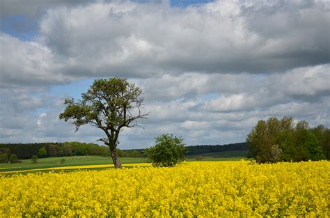 Hintergrundbilder Farben Deutschland Landschaft Frühling Nikon