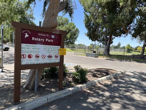 Rotary Park Closed Due To Coyote Activity Clovis Roundup