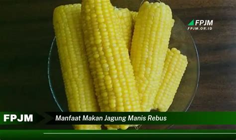 Temukan 6 Manfaat Makan Jagung Manis Rebus Yang Bikin Kamu Penasaran