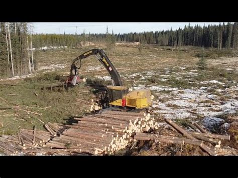 Tigercat 855 Roadside Processing Alberta Canada YouTube