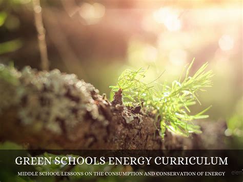 Green Schools Curriculum by Rebecca Froggatt