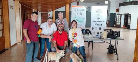 Haría comienza una campaña de vacunación e identificación de perros y gatos