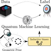 Group Invariant Quantum Machine Learning Prx Quantum