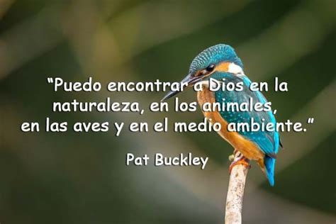 Frases De La Naturaleza Realmente Inspiradoras