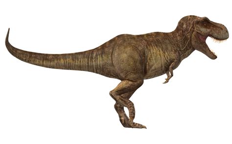 tyrannosaurus rex isolated   transparent background  png