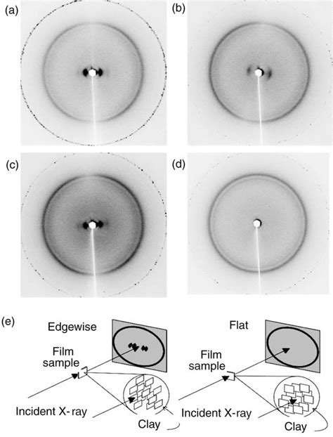 Figure 1 From On The Structure And Morphology Of Polyvinylidene