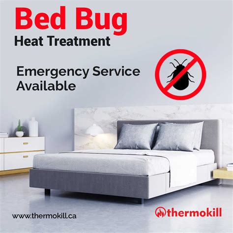 Professional Bed Bug Extermination Service Provider In Toronto