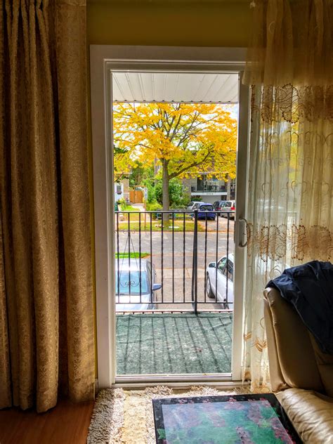 Панковы в Канаде