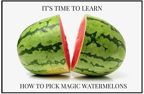 How To Pick The Perfect Watermelon Half Of Gabby